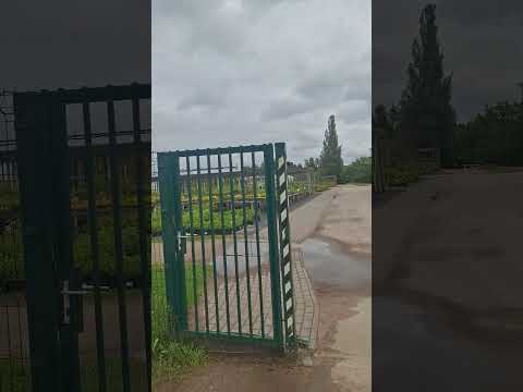 #Kalsnavas #kokaudzetava #зарисовки