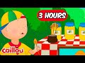 There S So Much Food To Try Caillou Compilations Full Episodes