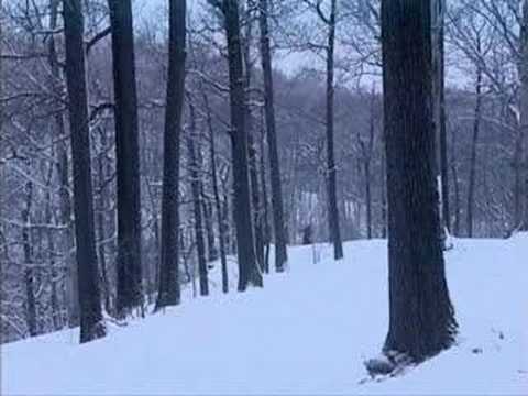 BBC.The.Genius.of.Beethoven.3of3.Faith.and.Fury (6/7)