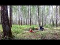 Дзен дровосека / Zen of a lumberjack 