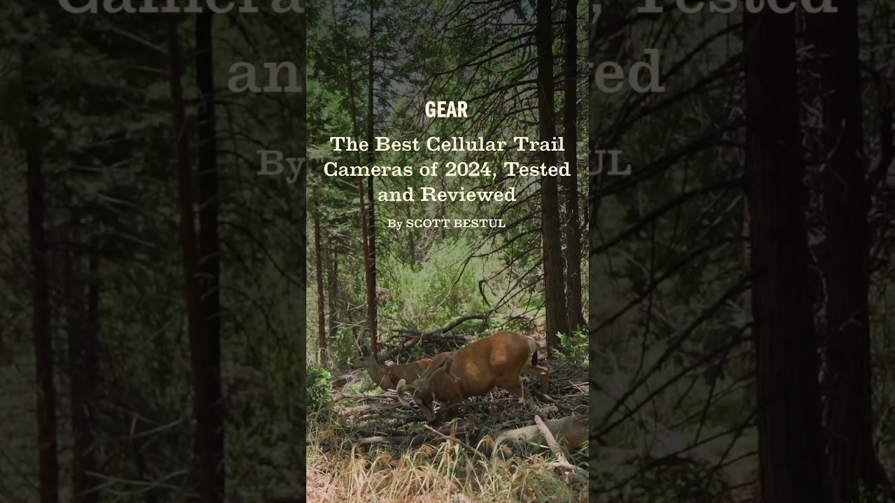 Best Cellular Trail Cameras of 2024