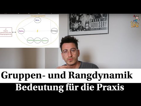 Rang- und Gruppendynamik I Entstehen so Mobbing, Machtkämpfe und Revolutionen ?