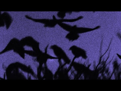 maikubi x volt vision | take me home | slowed reverb