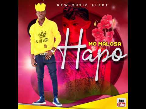 HAPO (official Audio) by Malosa Music