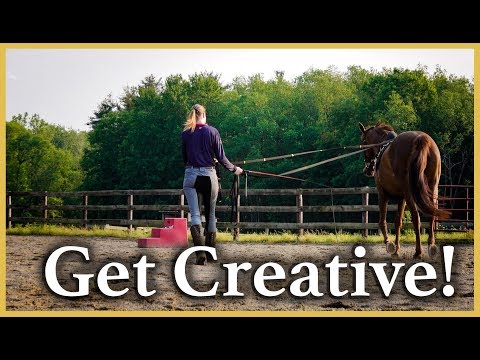 4 GROUNDWORK EXERCISES FOR HORSES