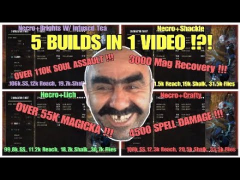 Magicka Warden PVP Build's ❄️- Elsweyr 🐉 *CRAZY STATS*