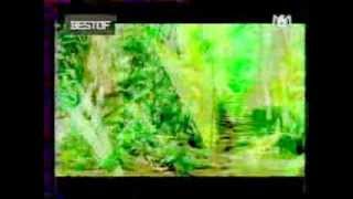 bernard lavilliers"MINHA SELVA"