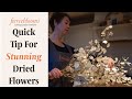 How To Peel Honesty Dried Flowers For Iridescent Loveliness