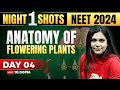 Anatomy Of Flowering Plants Class 11 One Shot NEET 2024 Garima Goel