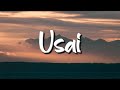 Tiara Andini Usai Lirik Mix Playlist