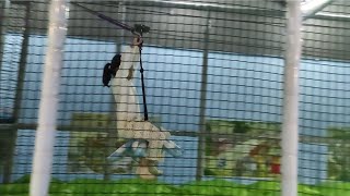 玩滑索要注意啊！❗请一定要看到后面