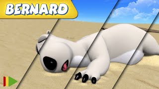 🐻‍❄️ BERNARD  | Collection 24 | Full Episodes | VIDEOS and CARTOONS FOR KIDS