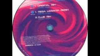 Interstate - Human Beings (Mega 'Lo Mania Remix) - Harem Records - 1996