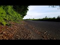 1976 Yamaha V50P Pedal Moped Flyby At About 40mph FS1E Honda C50 C70 C90