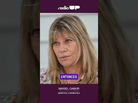 Corrientes: “La planta de Tapebicuá no formó parte de la venta de Celulosa Argentina”