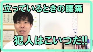 立ってるときの腰痛、犯人はこいつ!!【ストレッチ】