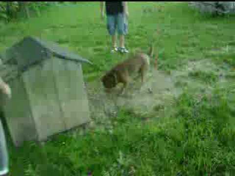 Taunton  Skate Video (Casey Manley+John Bourget)