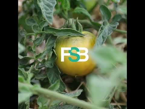 FSB Inside : deux carottes