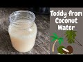 How To Make Toddy Kallu From Coconut Wate