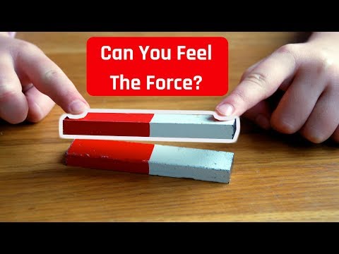 Can You Feel The Force? - primary school song to teach children about SCIENCE - FORCES
