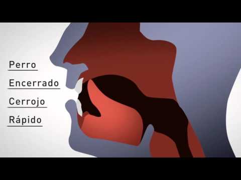 LECCIÓN 79 - PRONUNCIACIÓN DE LA LETRA R