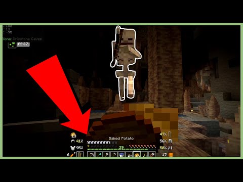 PŘEŽIL JSEM TO?! - S05E09 MC LP