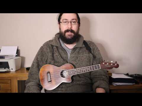 Beginners Ukulele - You Never Can Tell Lesson