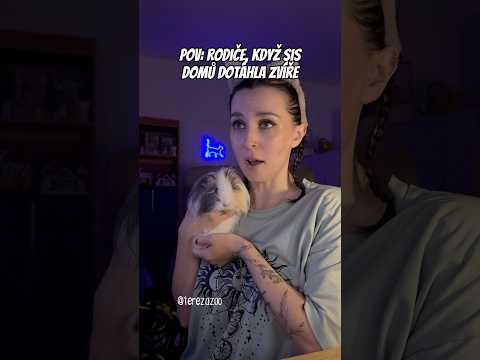 Máma s tátou, když si domu přineseš nový zvířátko na tajňáka 😅😹 Chudák táta 😹😹
