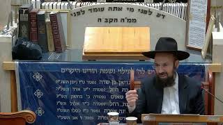 הרב יצחק קשאני פרשת נח תשפ"ה