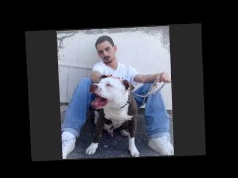 Bezzi Bez - Bomb Berthamore /DISS NOIZY
