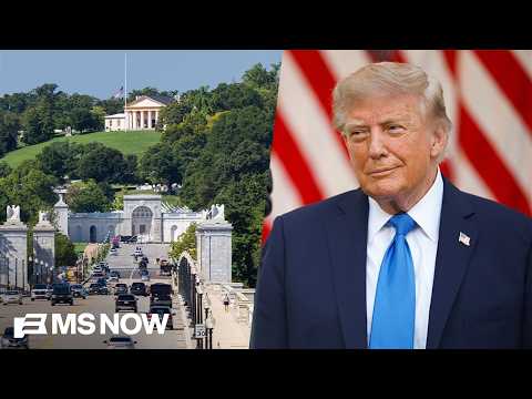 ‘TEAR IT ALL DOWN!’: Michael Steele's advice to deal with Trump's vanity projects