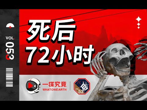 屍水顏色