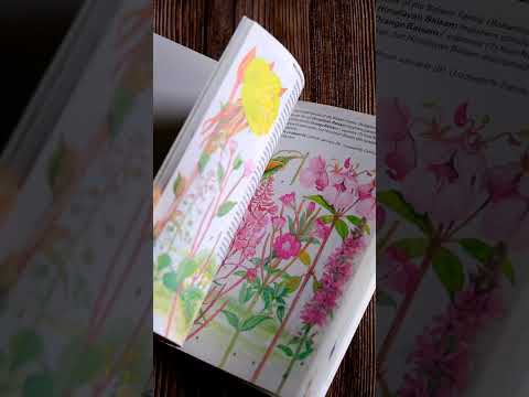 Wild Flowers of Britain & Northern Europe, 1979 #shorts