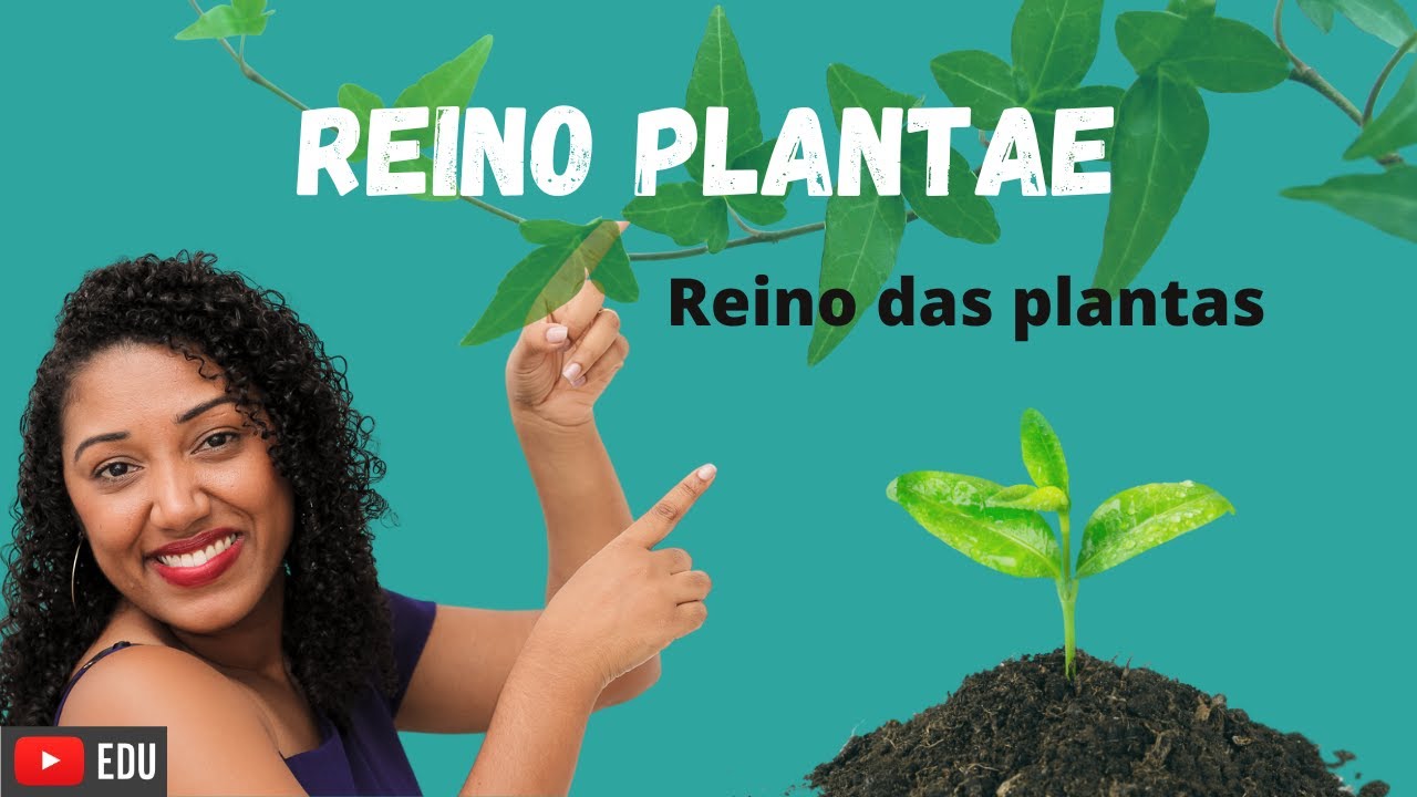 Aula: Reino das Plantas (Plantae)