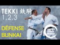 Tekki Shodan Nidan Et Sandan Défense Bunkai Par Didier LUPO