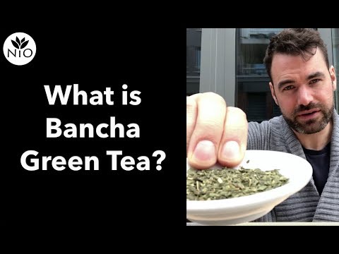 download lagu mp3 mp4 Bancha Tea Caffeine, download lagu Bancha Tea Caffeine gratis, unduh video klip Bancha Tea Caffeine