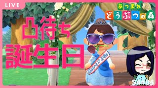 初見さんも大歓迎　誕生日凸待ち配信【あつまれどうぶつの森】雑談しながらカールうすあじ島をまったり開拓　S4＃04【あつ森】【定期生配信】