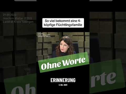 So viel Geld bekommen Flüchtlinge ‼️🤯#afd #bundestag #cdu #politik #nachrichten #spd