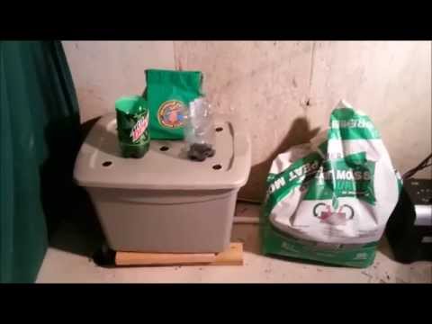 Indoor Worm Bin with Worm Eggs and the Ultimate Fruit Fly Trap