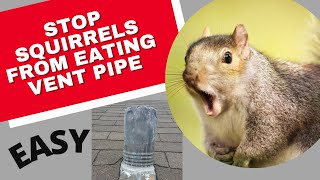 Stop Squirrels from Chewing Your Roof Vent Pipes DIY #tooltips #lifehacks