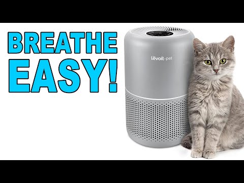 Levoit Core P350 Pet Air Purifier Review … Dust & Pollen too !!!