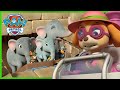 Jungle Rescue Pups Save The Elephant Family And More PAW Patrol Cartoons For Kids Compilation