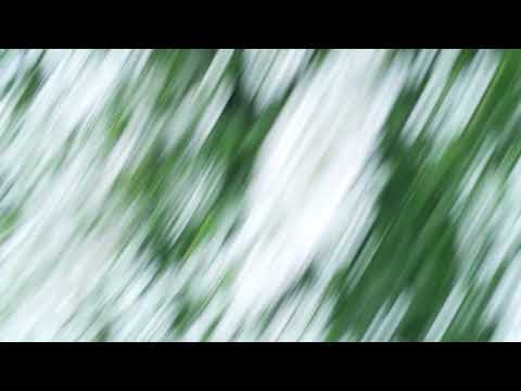 Lost in Pacific & Hanging Valleys - Lifeline