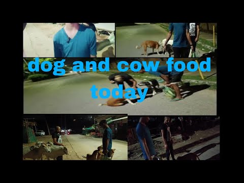 dog and cow help for today|| mai or team members || please support you 🙏🙏🙏|| like, share and follow