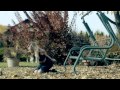 Дилайс - Ветром (Official video. NEW) 