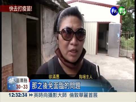 狂犬病死灰復燃! 疫苗優先自費打