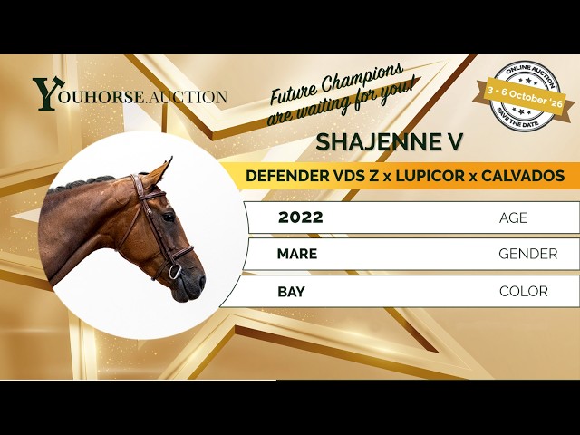 Shajenne trainingsvideo