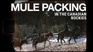 Boot Barn Mule Packing in the Canadian Rockies