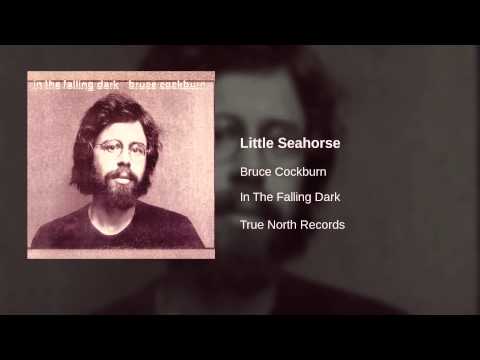 Little Seahorse video thumbnail