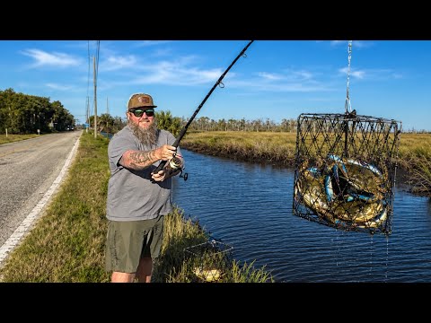 Roadside Crabbing with Folding Traps | BLUE CRAB Catch Clean Cook